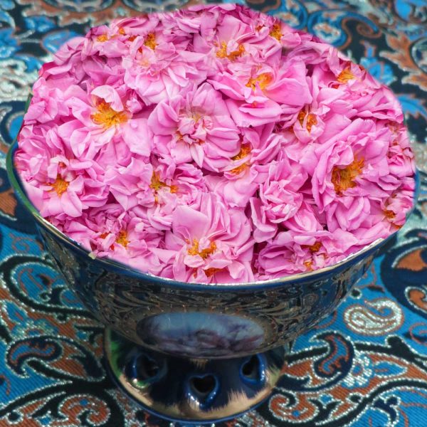 گل محمدی تازه دارای بیش از 23 خاصیت دارویی است.